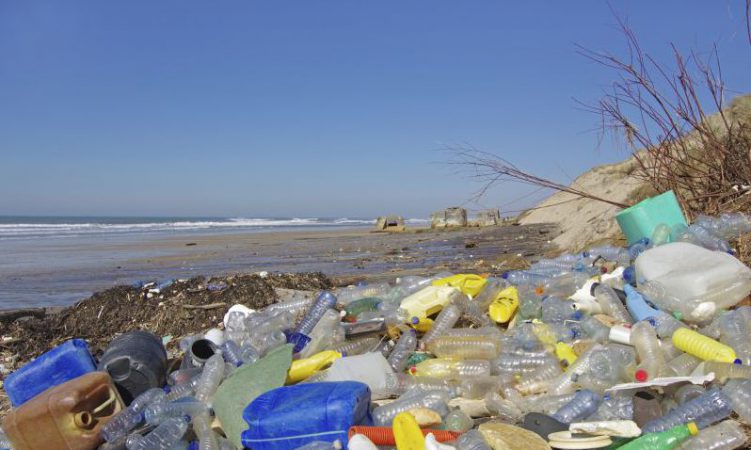 Weg mit dem Plastik: Stattdessen Natur pur