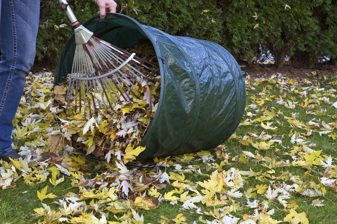 So übersteht der Garten den Winter problemlos