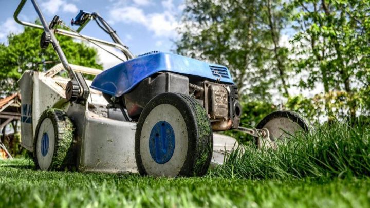 So wird Ihr Garten fit für den Frühling und Sommer