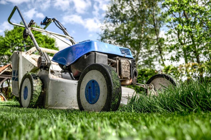 So wird Ihr Garten fit für den Frühling und Sommer